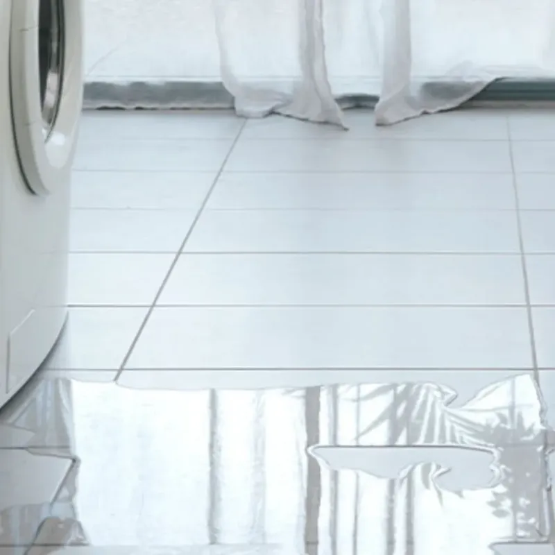 Appliance Leak Cleanup in Allyn, WA