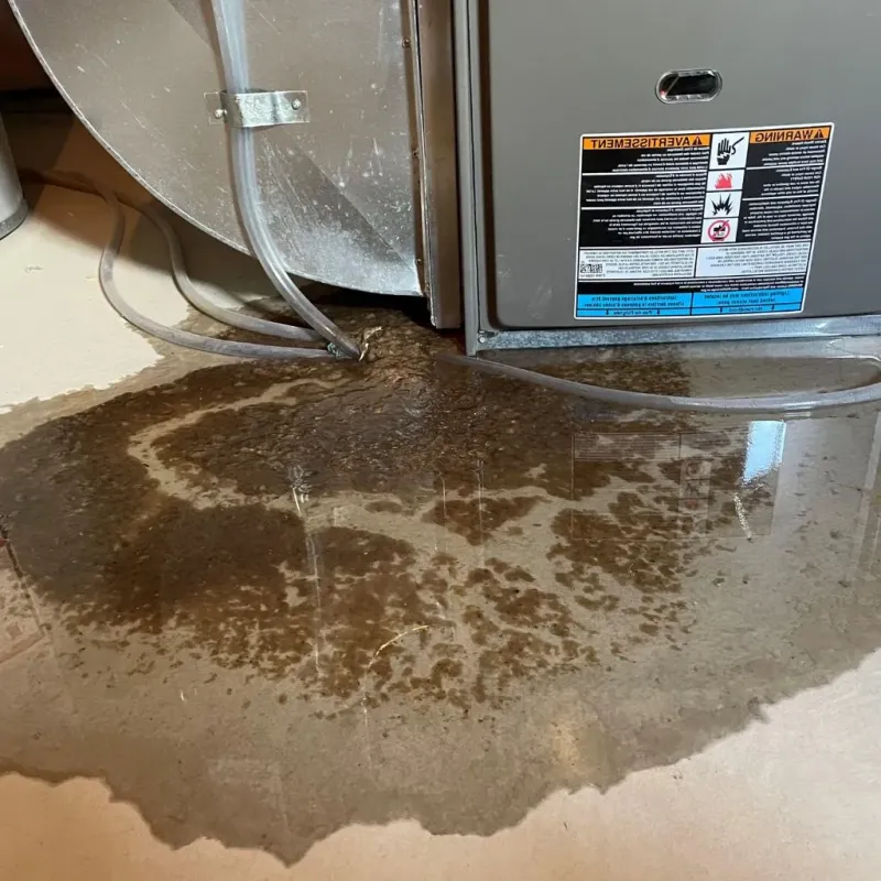 Pipe Burst and Leak Restoration in Allyn, WA