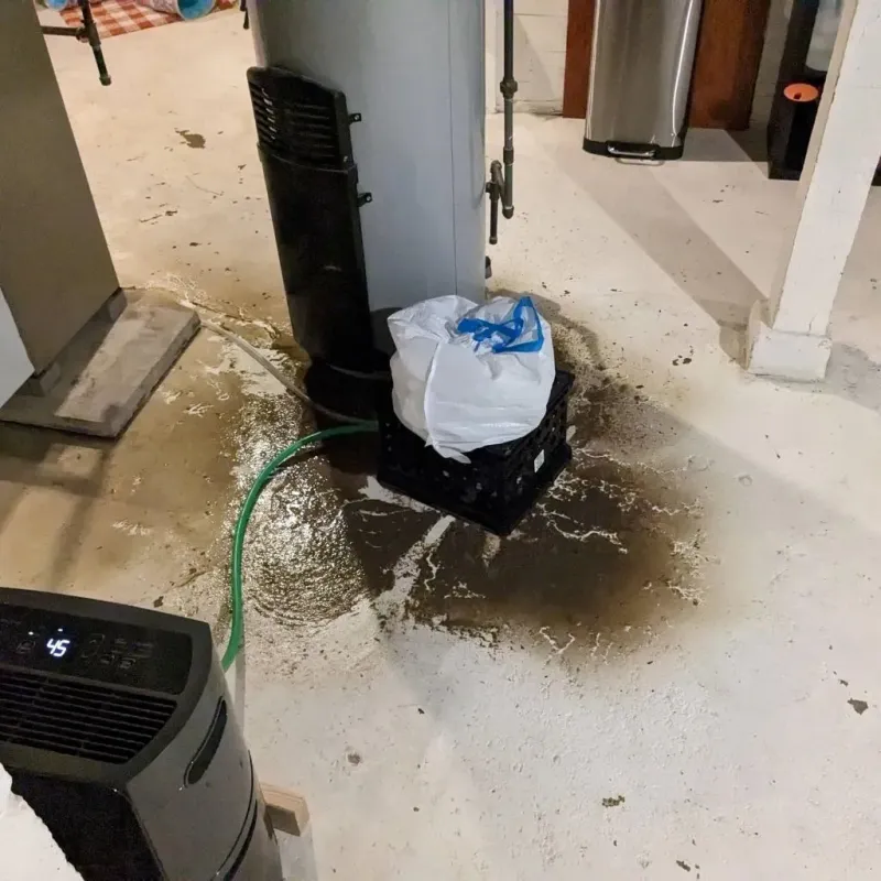 Sewage Backup Cleanup Service in Allyn, WA
